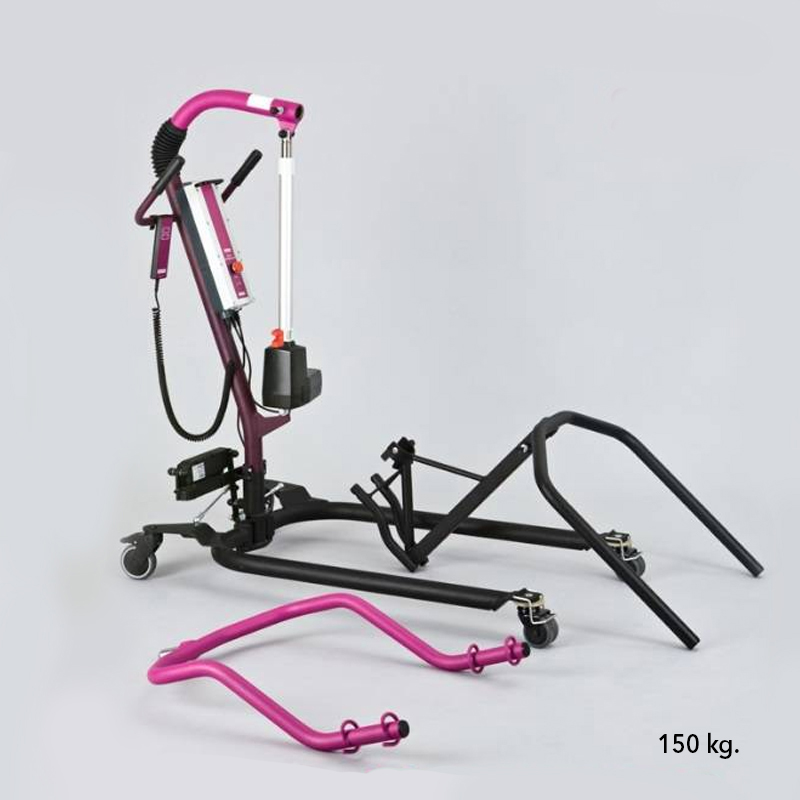 walking trainer walking trainer